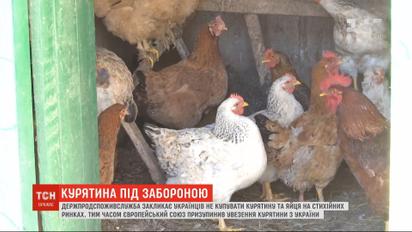 На Вінниччині знищили понад сотню тисяч курей через пташиний грип  