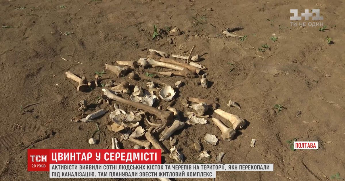 Полтавські активісти виявили цвинтар у кілька гектарів, який перекопали під каналізацію