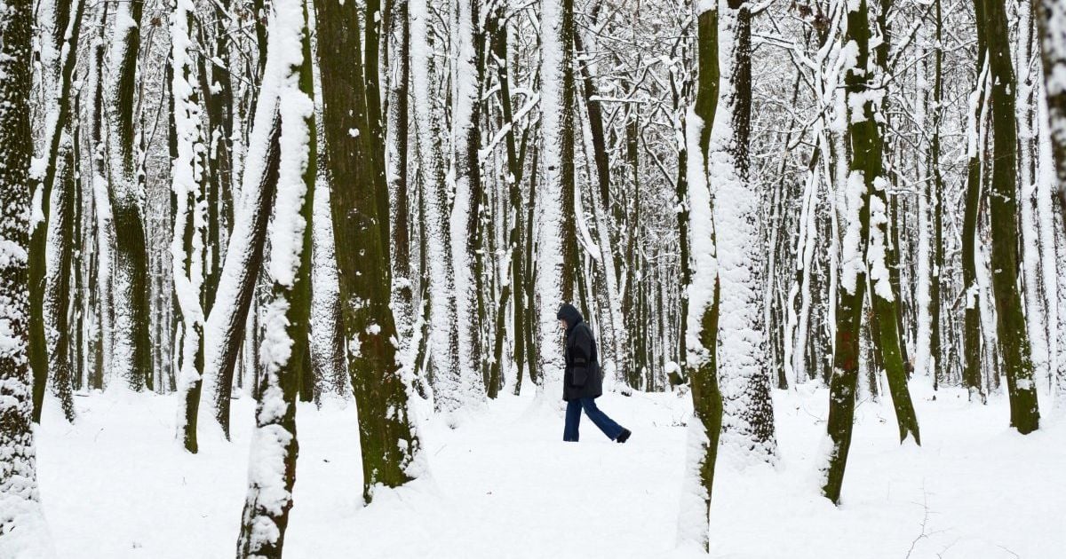 Синоптики обещают снега, дожди и гололедицу. Прогноз погоды на 7-11 декабря
