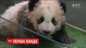 Перше панденя Франції отримало ім’я "здійснення мрії"