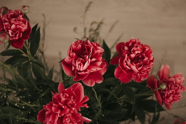 День ангела 17 вересня — душевні привітання в прозі / © unsplash.com