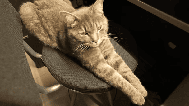 Фото: скриншот Суспільне. Кропивницький