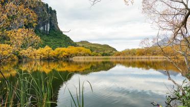 Новая Зеландия_30 / © Bodo Travel