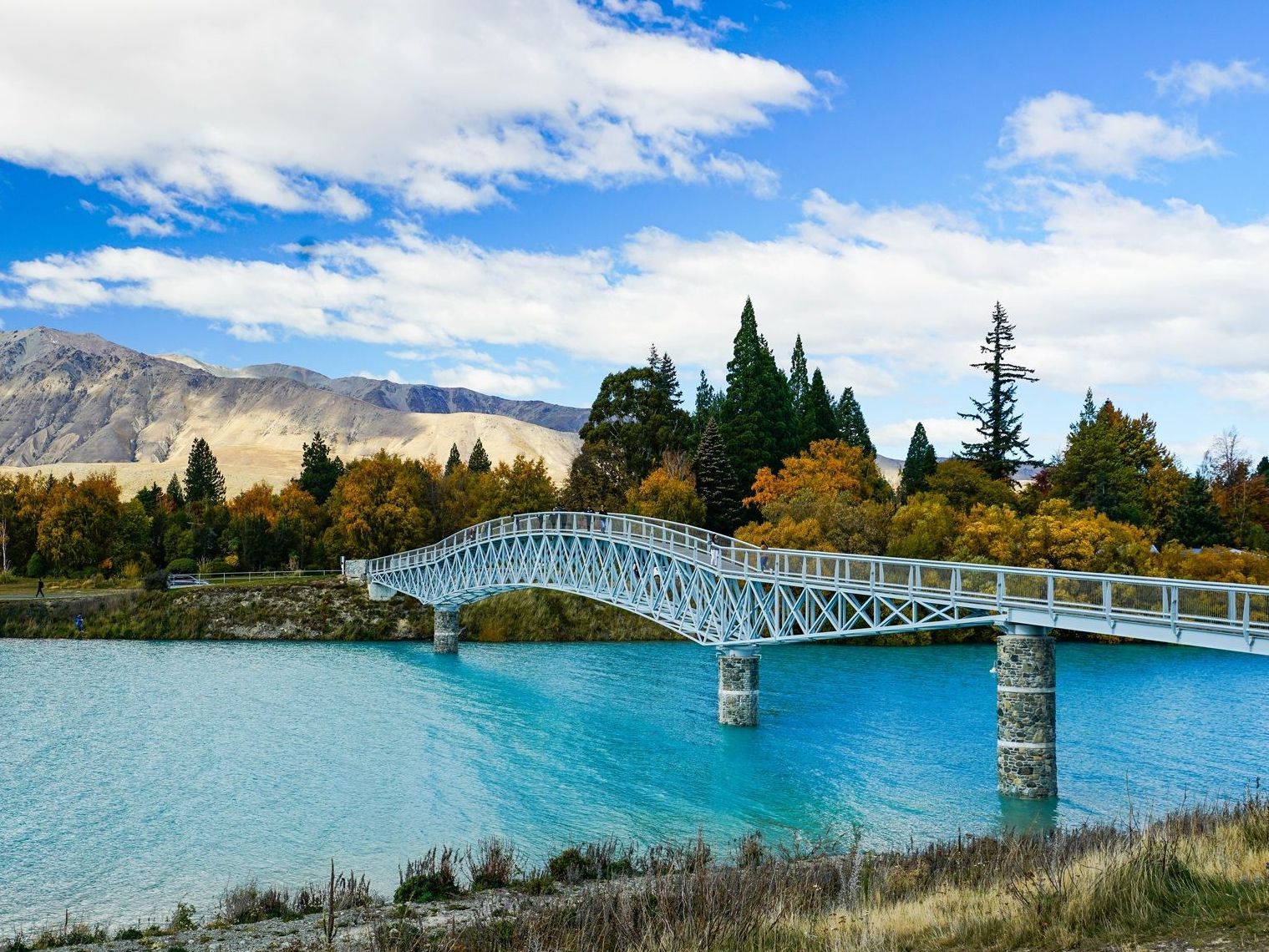Новая Зеландия — родина хоббитов и невероятной природы