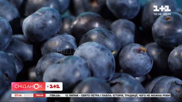 Сезон лохини, найнижча заробітна плата, експорт заморожених овочів – Економічні новини