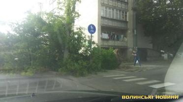 Буря в Луцьку_01 / © Волинські новини