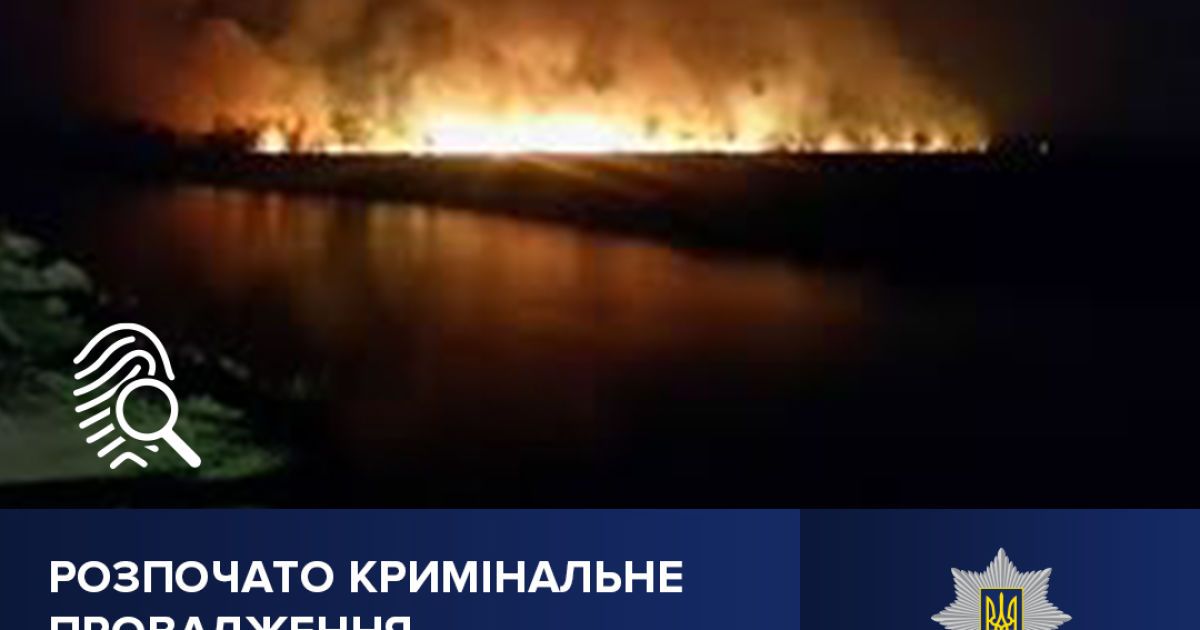 Пожежа в екосистемі в Дарницькому районі / © Поліція Києва / Facebook