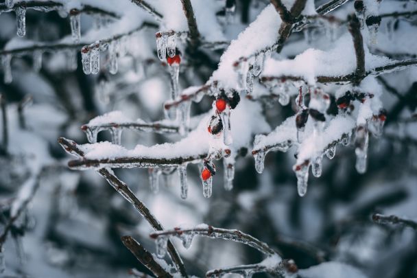 Народні прикмети 25 лютого / © Pexels