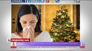 Вчені розповіли, як жива ялинка вдома може зашкодити здоров’ю