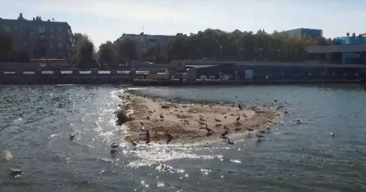 Природное чудо или экологическая катастрофа: в Днепре посреди реки появился остров (видео)