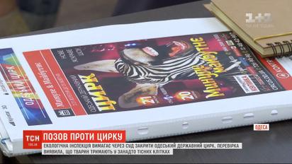 В Одесі розпочалося слухання позову екологічної інспекції проти державного цирку