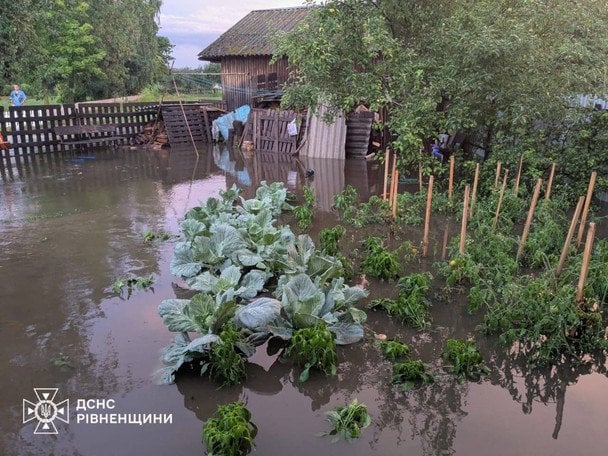 "Море" во дворе, деревья на дорогах: что натворила непогода в пяти областях Украины (фото)