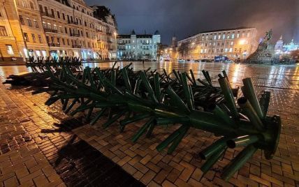 В Киеве начали устанавливать главную новогоднюю елку Украины: фото
