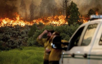Горят дома и леса: в Калифорнии жара привела к масштабным пожарам, более 2 тыс. человек эвакуировали