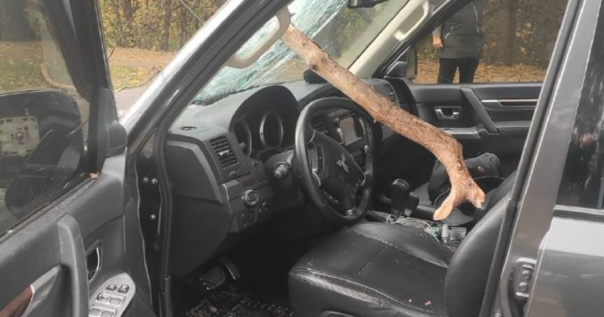 В Обухові дерево впало на дорогу, якою рухалися автівки