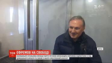 Экс-главу "Партии регионов" Ефремова отпустили из-под домашнего ареста