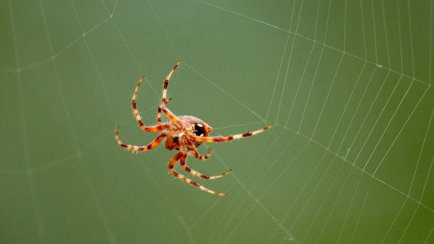 Народні прикмети 19 жовтня / © unsplash.com