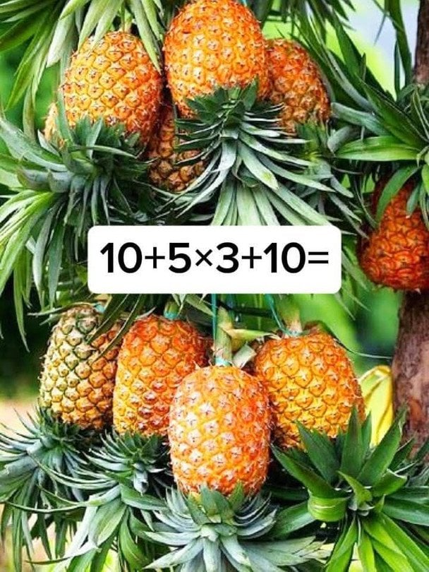 Фото BholanathDutta Х