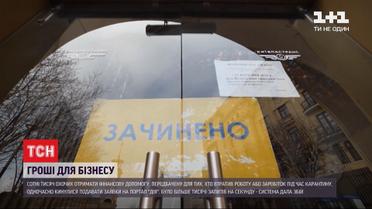 Приложение "Дія" не выдержало количества предпринимателей, которые пожелали получить материальную помощь