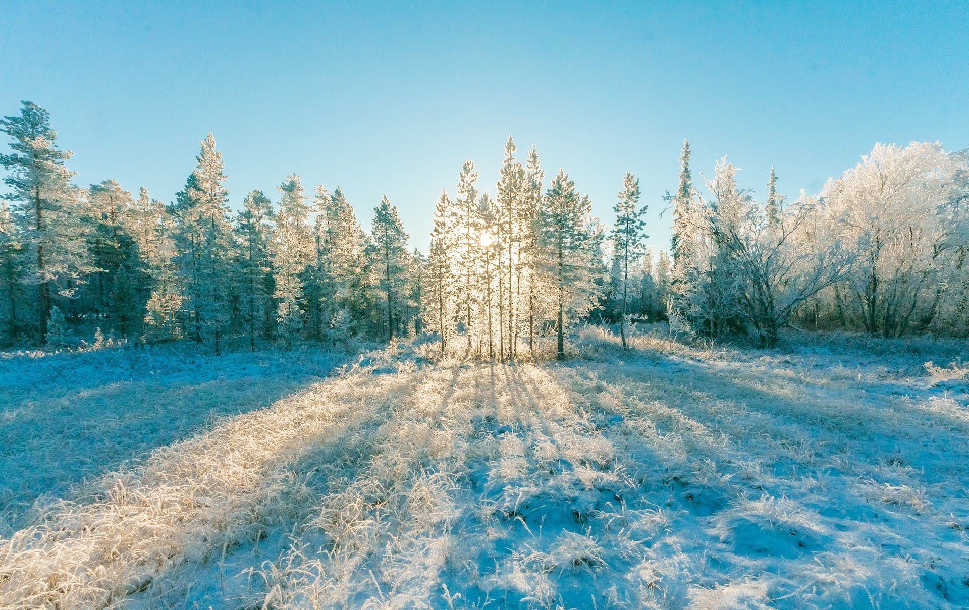 Народні прикмети 4 грудня / © Pexels