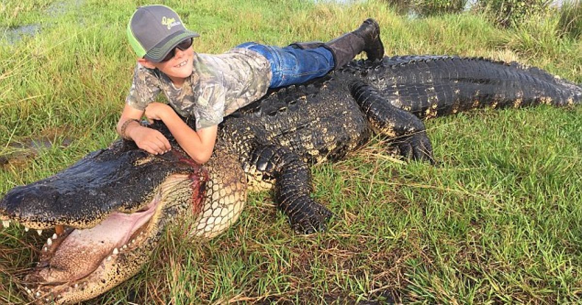 величезний алігатор_4 / © Blake Godwin / Facebook