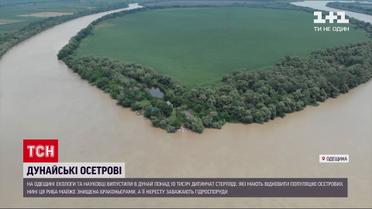 Новости Украины: в Одесской области экологи провели уникальное зарыбление Дуная