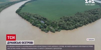Новости Украины: в Одесской области экологи провели уникальное зарыбление Дуная