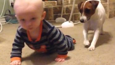 Собака навчає малюка повзати / © YouTube/Cevaplio Com