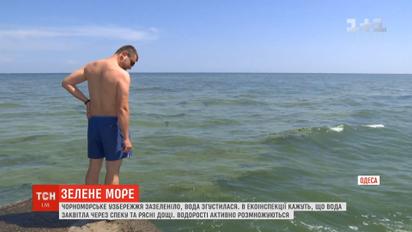 Вода на Чорному морі раптово згустилася, як кисіль, та стала смарагдовою