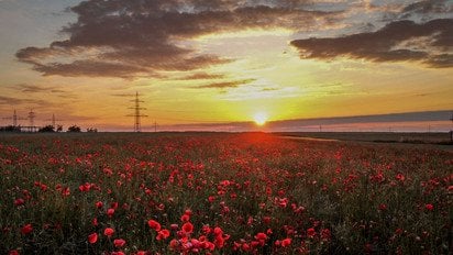 Гороскоп на 18 червня