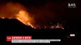 Грузія просить про допомогу сусідів та ЄС у боротьбі з пожежами