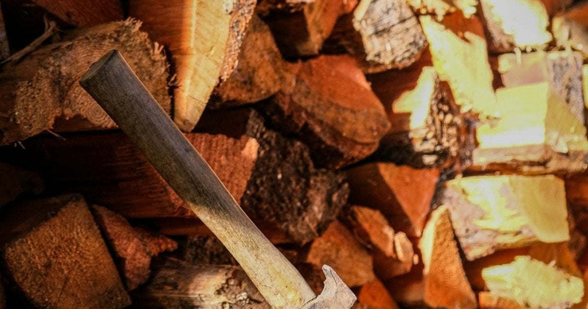 Заготівля дров 2026: правила