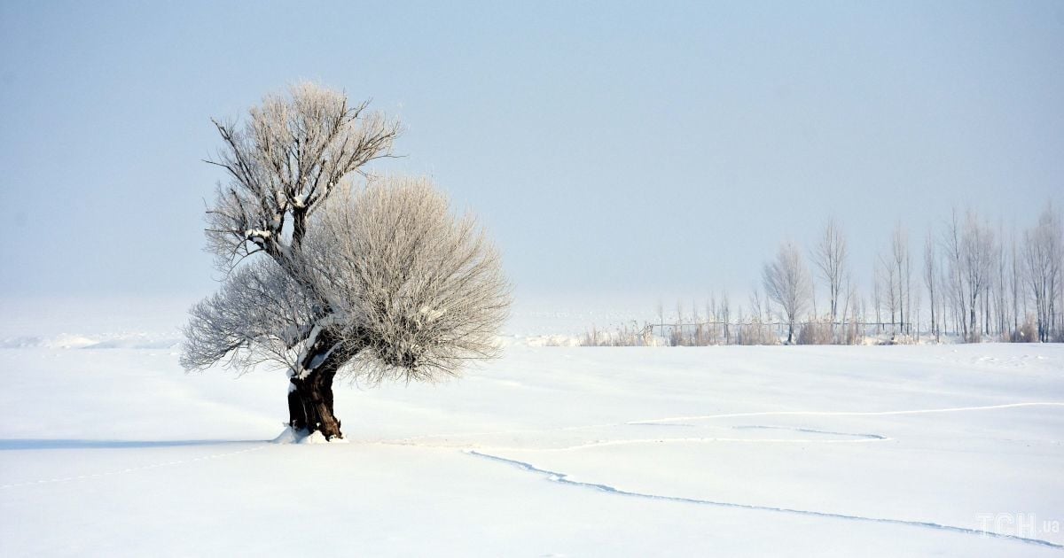 Зимовий пейзаж
