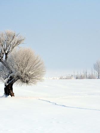Зимний пейзаж
