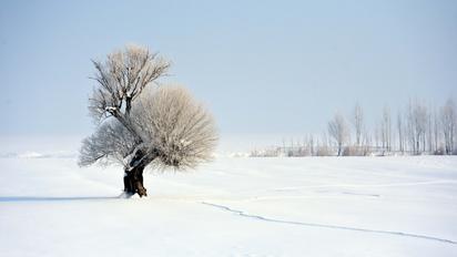 Зимний пейзаж