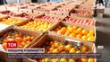 Новини України: що буде із цінами на томати найближчим часом