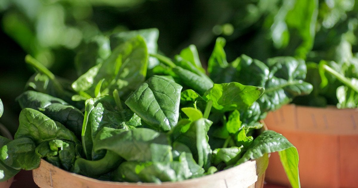 Як приготувати шпинат на пару, щоб зберегти його максимальну користь і смак