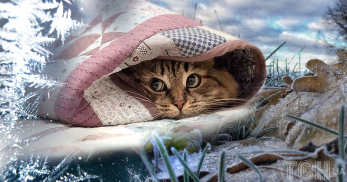 В Украине значительно похолодает после 20 декабря / Коллаж ТСН.ua