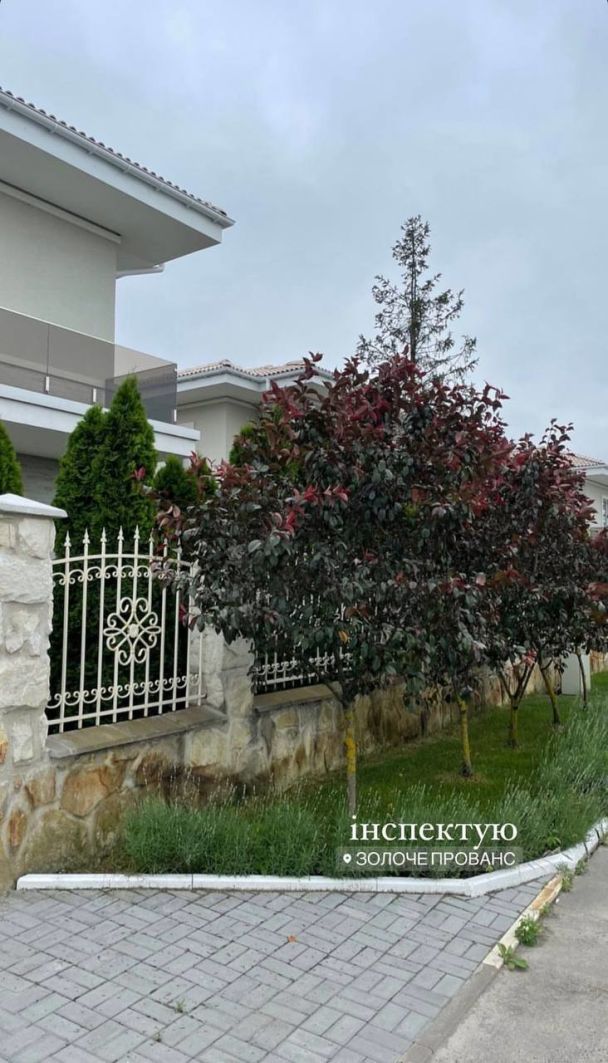  / © instagram.com/vova_ostapchuk