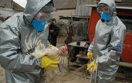 В Україні вперше за останні 8 років зафіксували пташиний грип