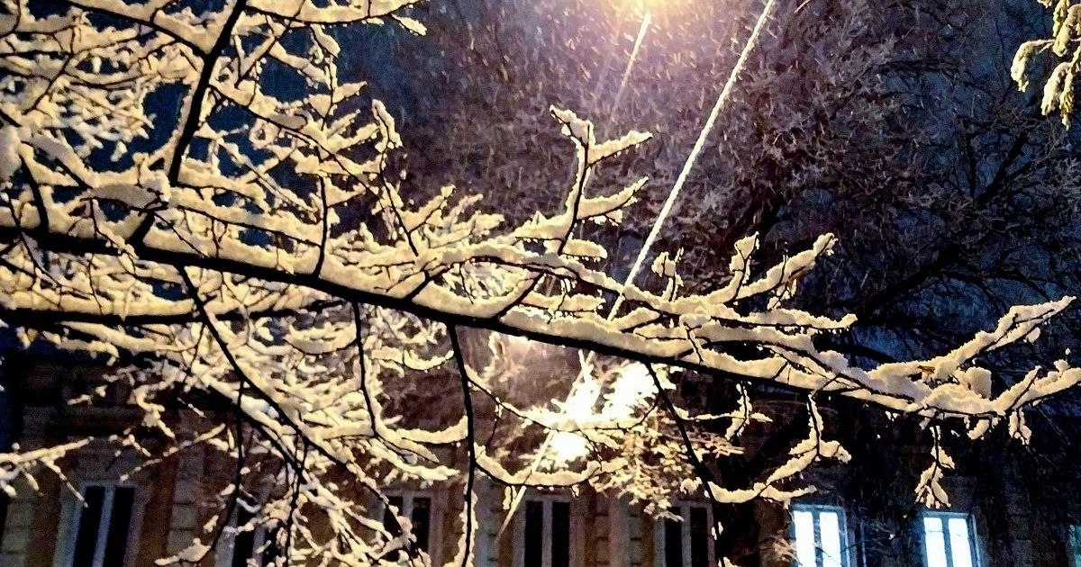 Київ від ночі почало замітати снігом