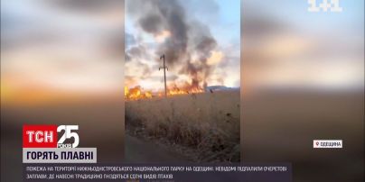 На території Нижньодністровського національного парку вже втретє сталася пожежа | Новини України