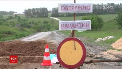 В Одесской области зафиксировали вспышку африканской чумы свиней