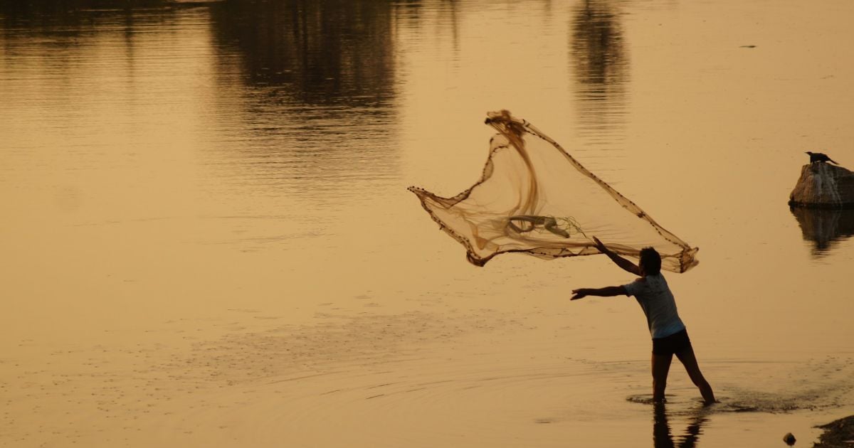 Поймал 4,5-килограммового карася и получил штраф