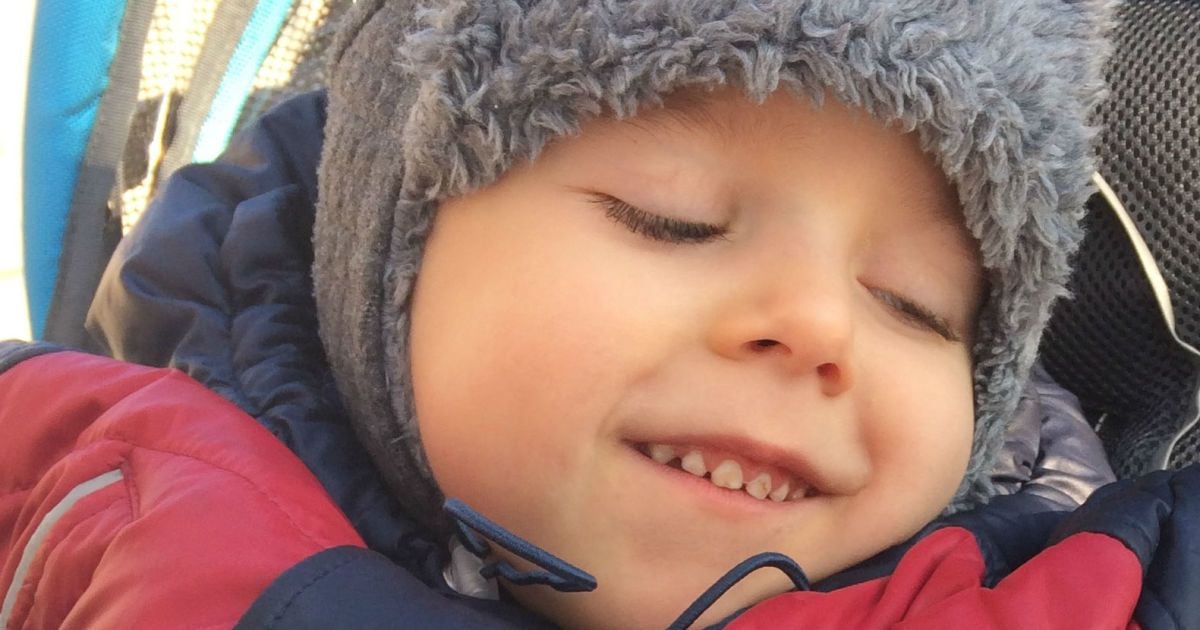 Помогите Мишке жить полноценной жизнью