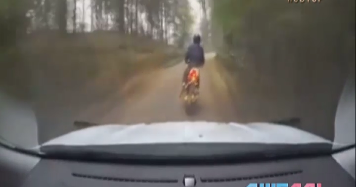 Thumbnail for "12_pereslidyvannya"