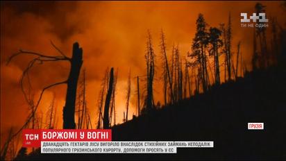 Боржомі у вогні: пожежа знищила гектари лісу неподалік із джерелом мінеральної води