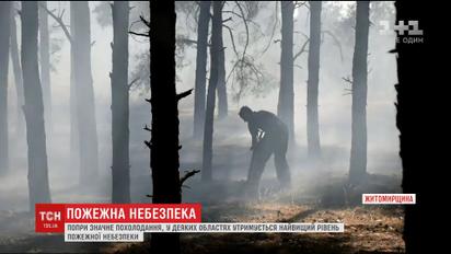 Пожежна небезпека: рятувальники продовжують боротися з полум'ям на Житомирщині