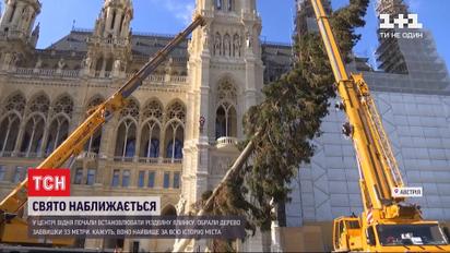 В центре Вены установили самую высокую за всю историю города новогоднюю елку