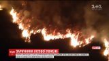 Тысячи британцев стали заложниками собственных домов из-за лесных пожаров